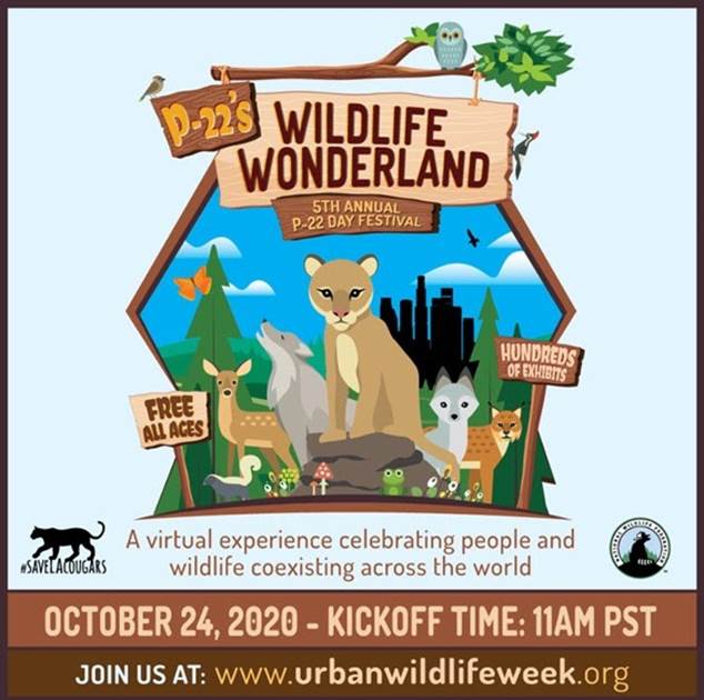 Wildlife Wonderland Flyer with a deer, wolf, cougar, fox and other wildlife